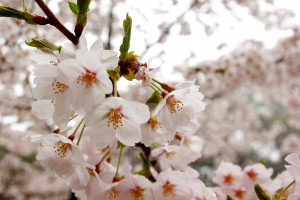 IMG_1473