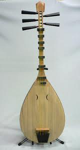 Biwa resim8